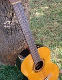 Tree and Guitar Blank Tab Sheet Music 132 Large 8. 5 X11 Pages with Alternating College Rule Paper for Writing Lyrics