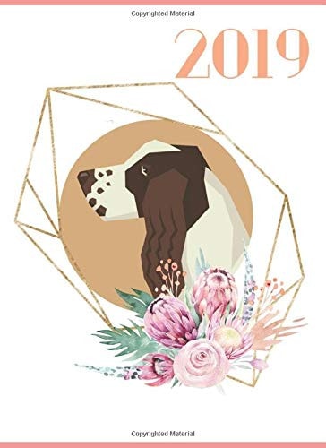 2019 Daily Planner English Springer Spaniel
