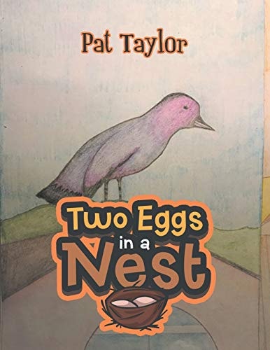 Two Eggs in a Nest