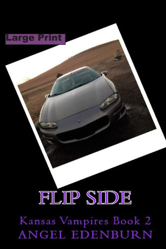 Flip Side