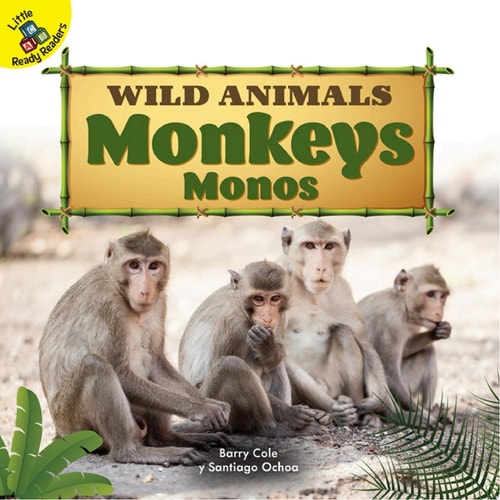 Monkeys Monos