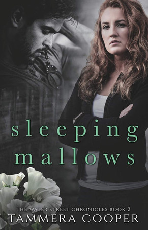 Sleeping Mallows The Water Street Chronicles Book 2