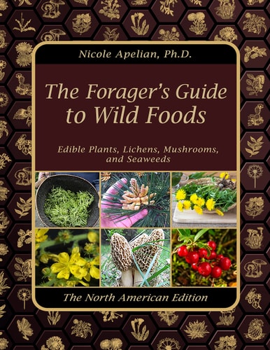 The Forager's Guide to Wild Foods: Edible Plants, Lichens, Mushrooms and Seaweeds