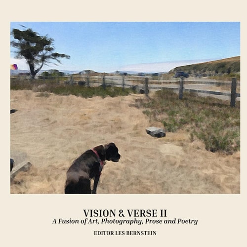 Vision & Verse II: A Fusion of Art, Photography, Prose and Poetry