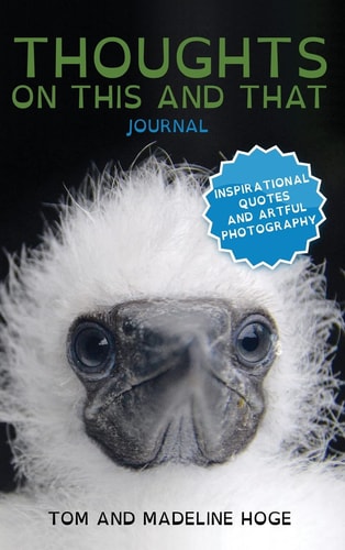 Thoughts on This and That Journal