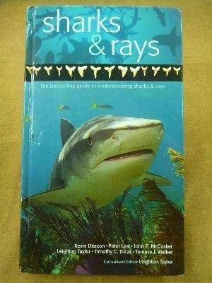A Guide to Sharks & Rays