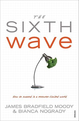 The Sixth Wave How to Succeed in a Resource-limited World