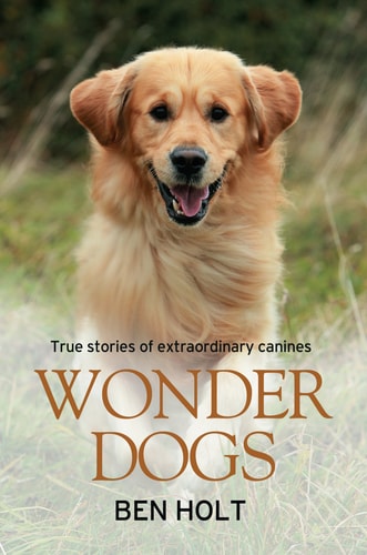 Wonder Dogs True Stories of Extraordinary Canines