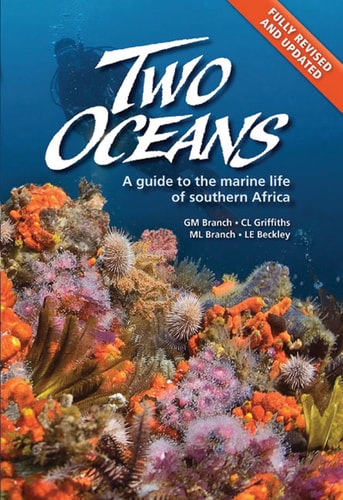 Two Oceans A Guide to the Marine Life of Southern Africa