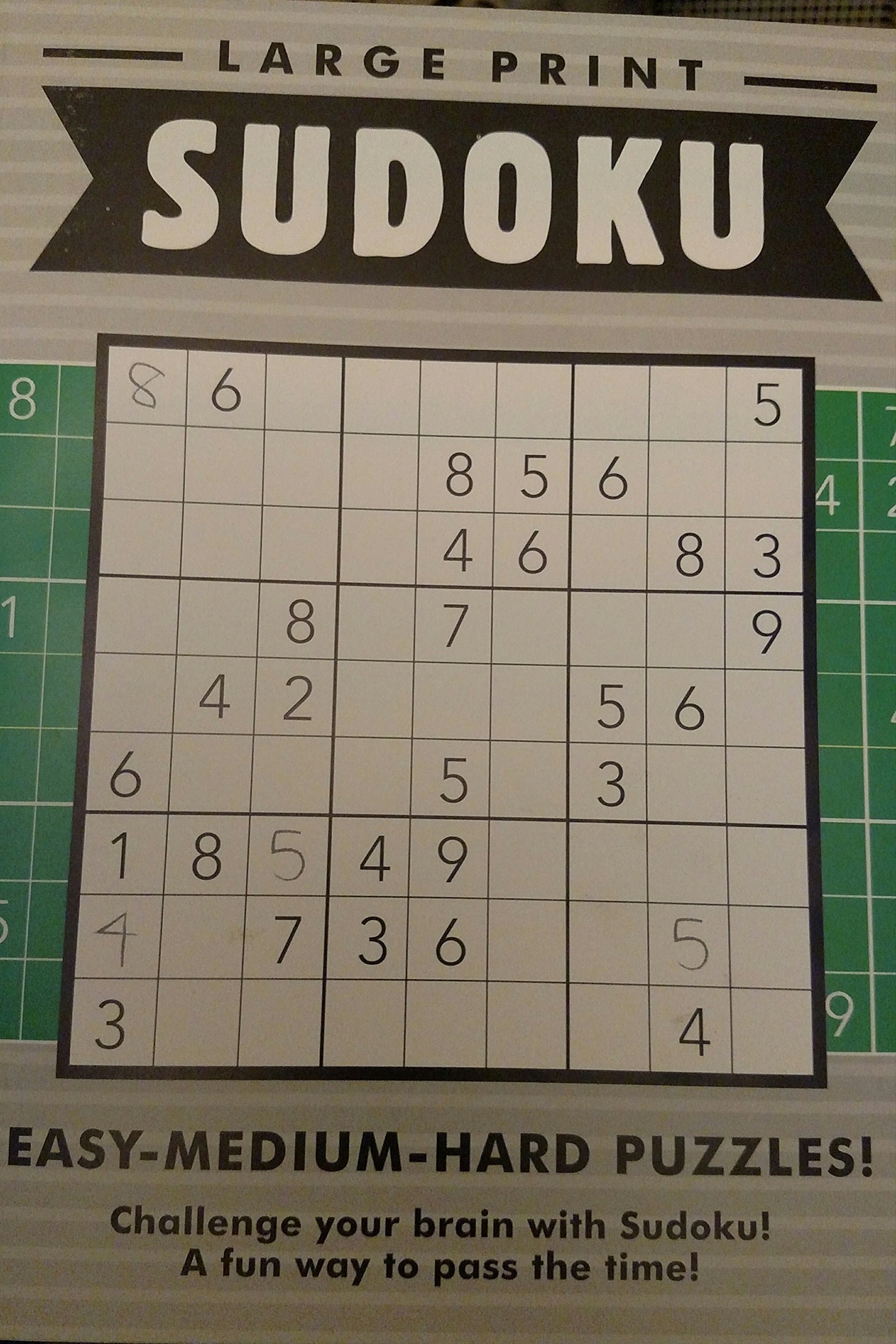 PAPP Large Print Sudoku Easy-Medium-Hard Puzzles (Grey)