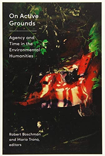 On Active Grounds Agency and Time in the Environmental Humanities