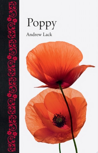 Poppy