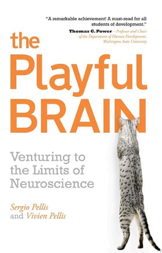 The Playful Brain Venturing to the Limits of Neuroscience