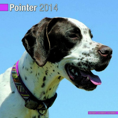 Pointer 2014 Wall Calendar
