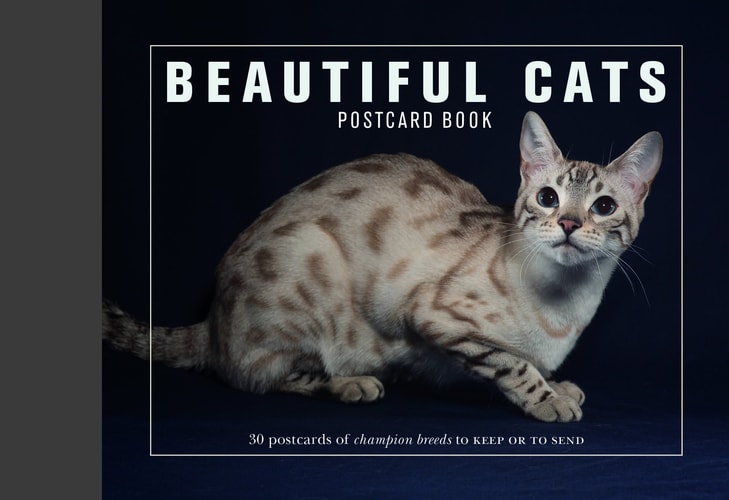Beautiful Cats Postcard Book 30 Postcards of Champion Breeds to Keep or to Send