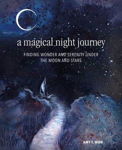 A Magical Night Journey Finding wonder and serenity under the moon and stars