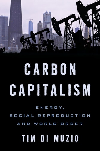 Carbon Capitalism Energy, Social Reproduction and World Order