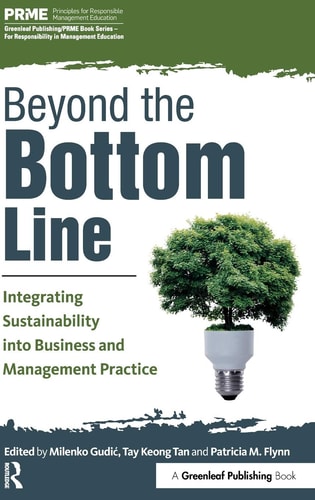 Beyond the Bottom Line Integrating Sustainability Into Business and Management Practice