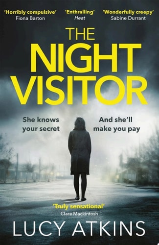 The Night Visitor the gripping and enticing thriller from the author of Magpie Lane