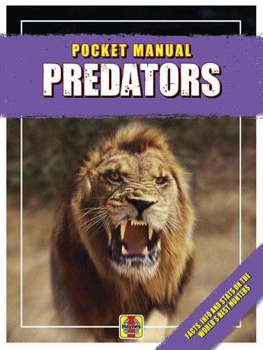 Predators Facts, Info and Stats on the World's Best Hunters