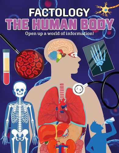 Factology: the Human Body Open Up a World of Information!