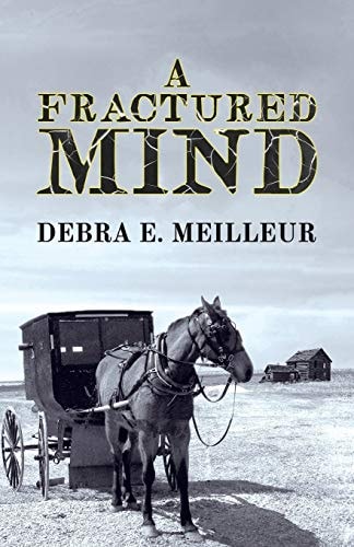 A Fractured Mind
