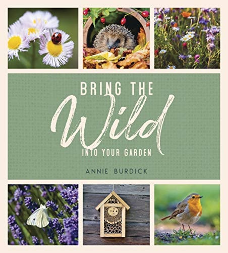 Bring the Wild Into Your Garden Simple Tips for Creating a Wildlife Haven