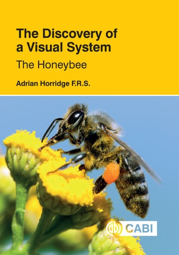 The Discovery of a Visual System - The Honeybee
