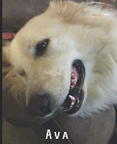 Ava Ava - a Wonderful Great Pyrenees