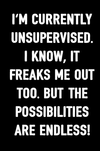 I'm Currently Unsupervised. I Know, It Freaks Me Out Too. But the Possibilities Are Endless Funny Journal for Men and Women to Write In, 100 Blank Lined Pages, 6x9 Unique Adult Diary, Ruled Composition Book, Humoristic Gag Gift