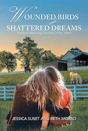 Wounded Birds  and   Shattered Dreams
