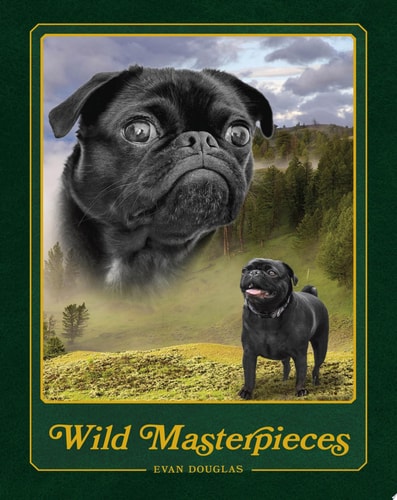 Wild Masterpieces