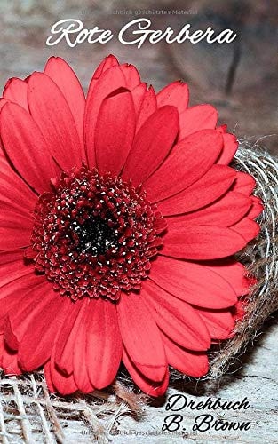 Rote Gerbera