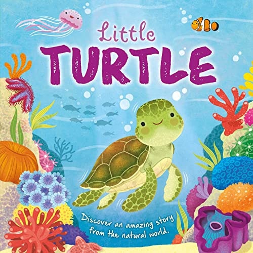Nature Stories: Little Turtle-Discover an Amazing Story from the Natural World Padded Board Book