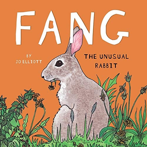 Fang The Unusual Rabbit