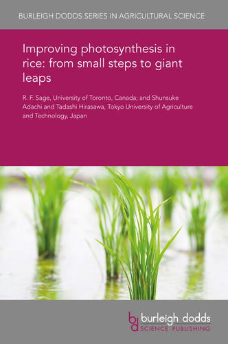 Improving photosynthesis in rice from small steps to giant leaps