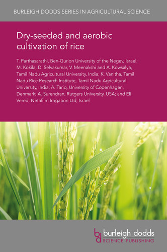 Dry-seeded and aerobic cultivation of rice