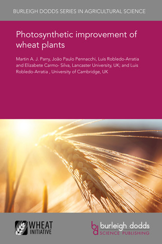 Photosynthetic improvement of wheat plants