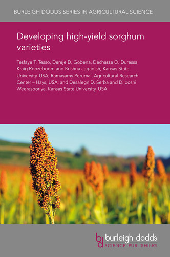 Developing high-yield sorghum varieties