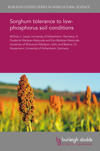 Sorghum tolerance to low-phosphorus soil conditions