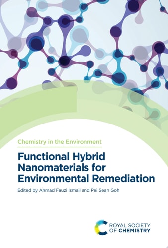 Functional Hybrid Nanomaterials for Environmental Remediation