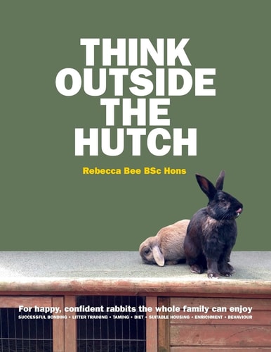Think Outside the Hutch For Happy, Confident Rabbits the Whole Family Can Enjoy