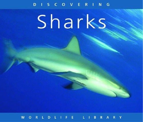 Discovering Sharks