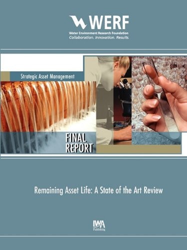 Remaining Asset Life A State of the Art Review