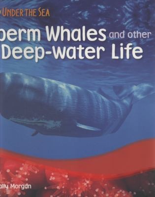 Sperm Whales And Other Deepwater Life