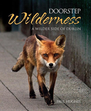 Doorstep wilderness: a wilder side of Dublin