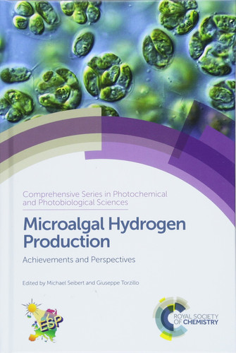Microalgal Hydrogen Production Achievements and Perspectives