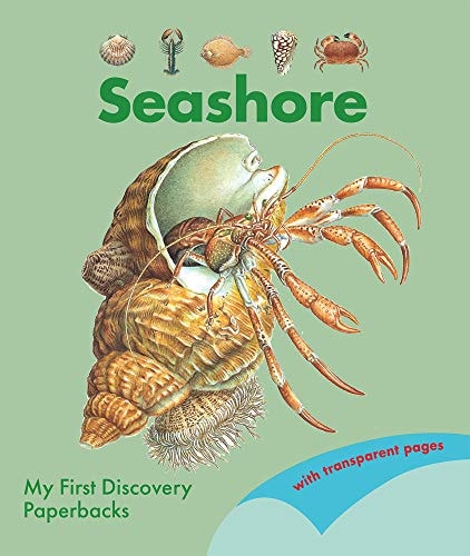 Seashore