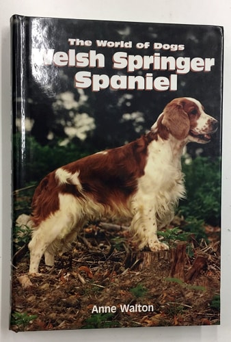 Welsh Springer Spaniel