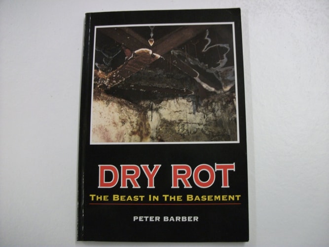 Dry Rot The Beast in the Basement